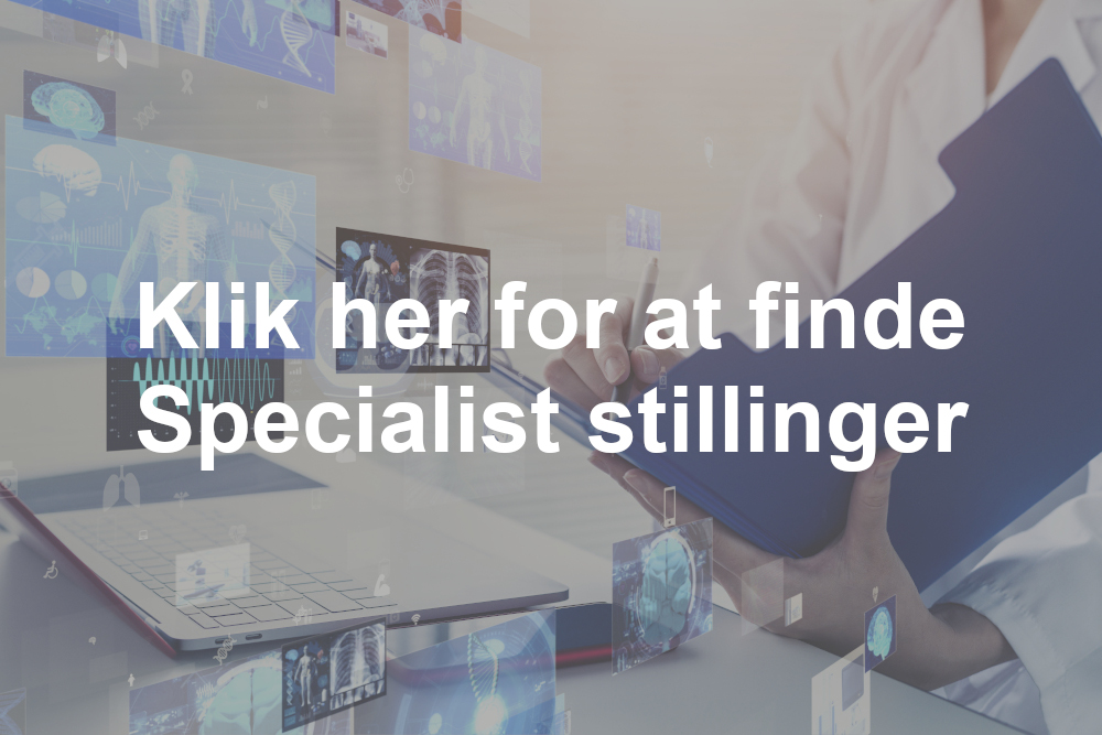 Specialist stillinger